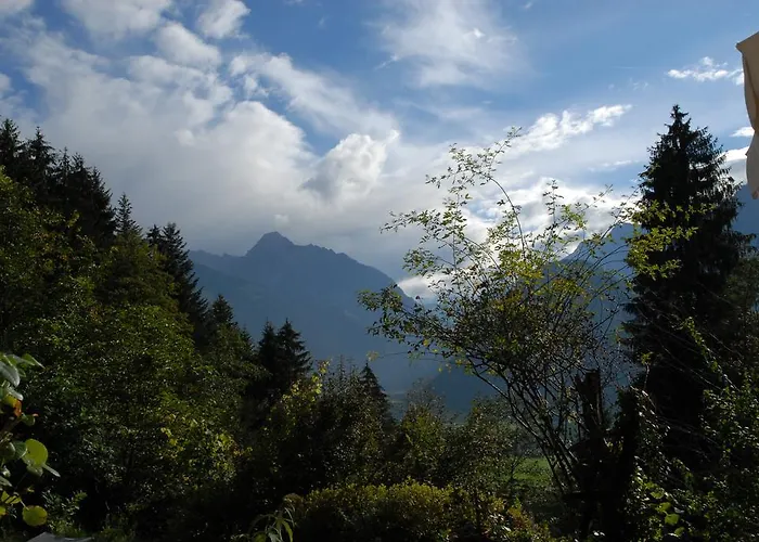 Luxus Muhlermoos * Ramsau im Zillertal