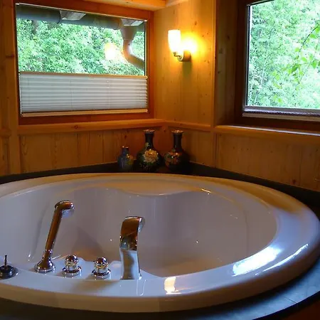 Luxus Mühlermoos Chalet
